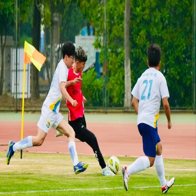 巴萨欧冠生死战前瞻与分析